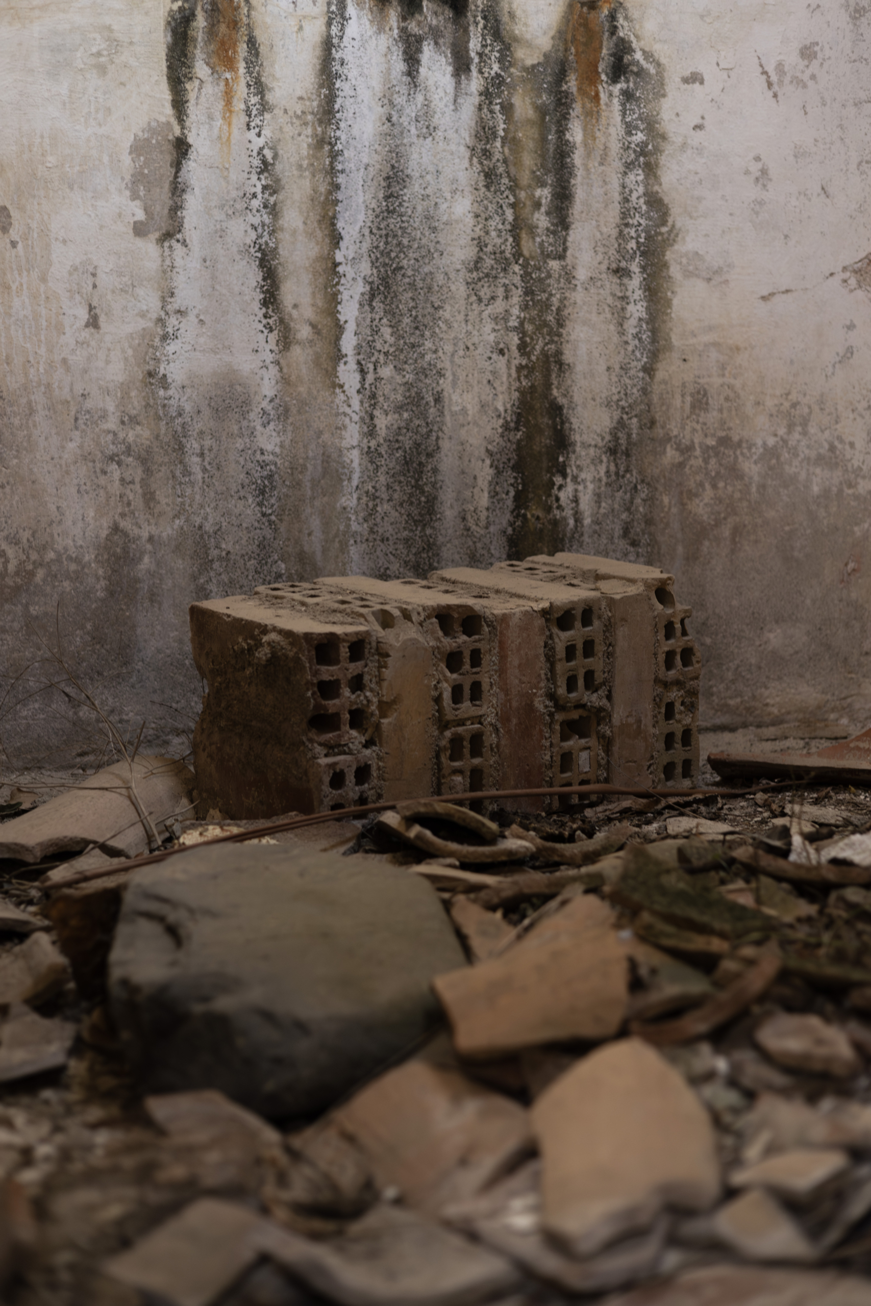 Copia de Verticals_01