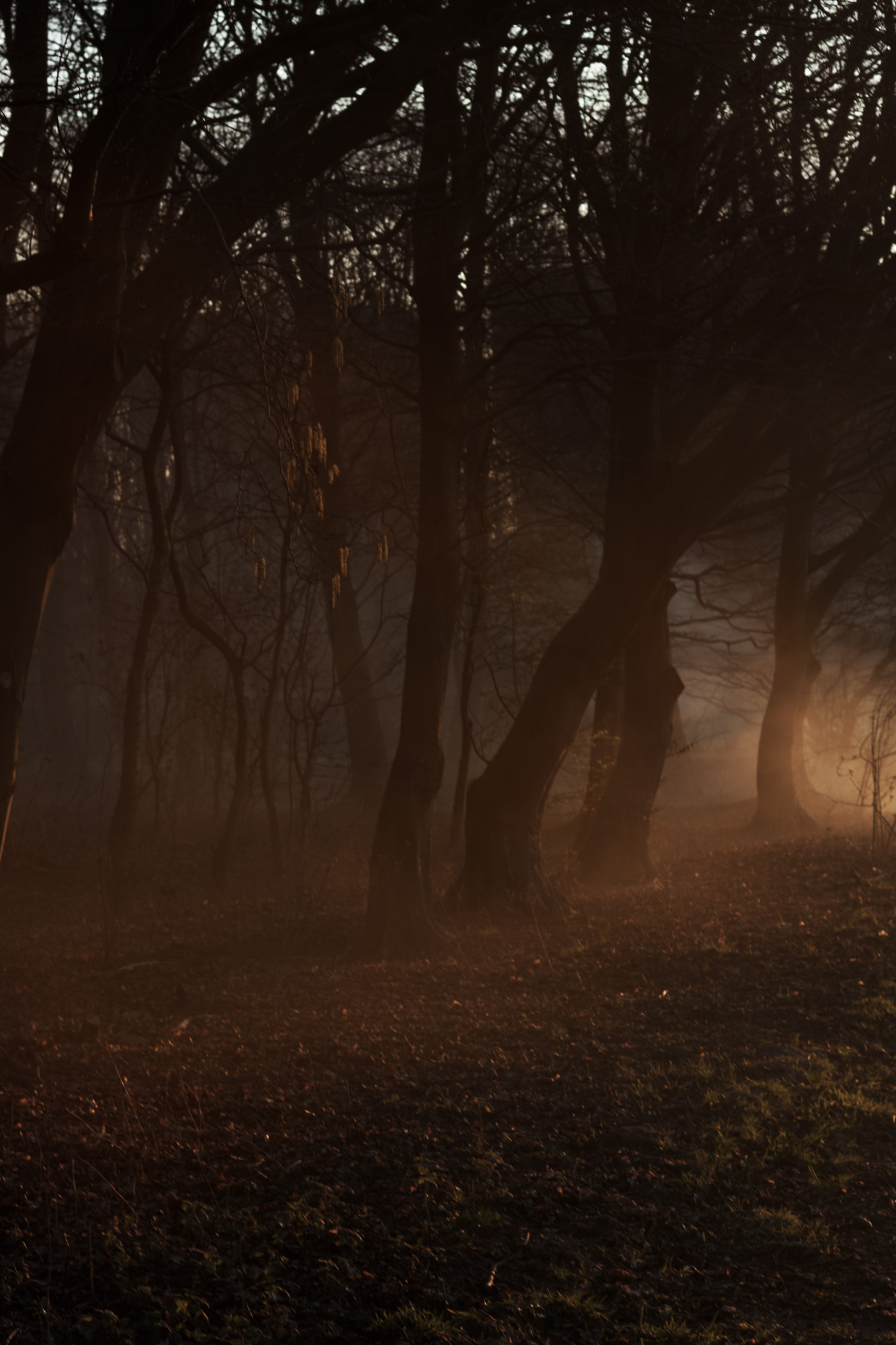 Copia de Verticals_02