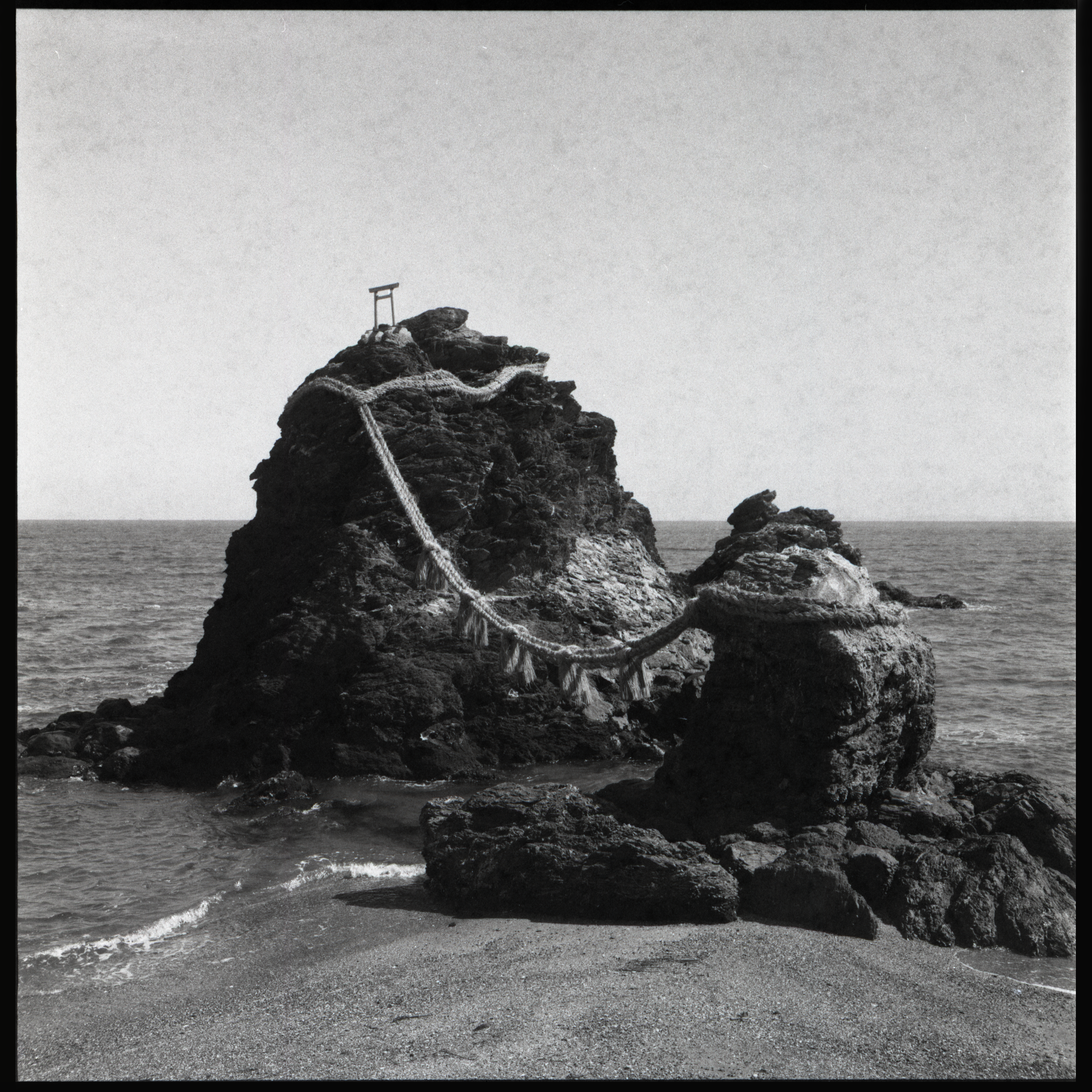 img20240917_17510097_45