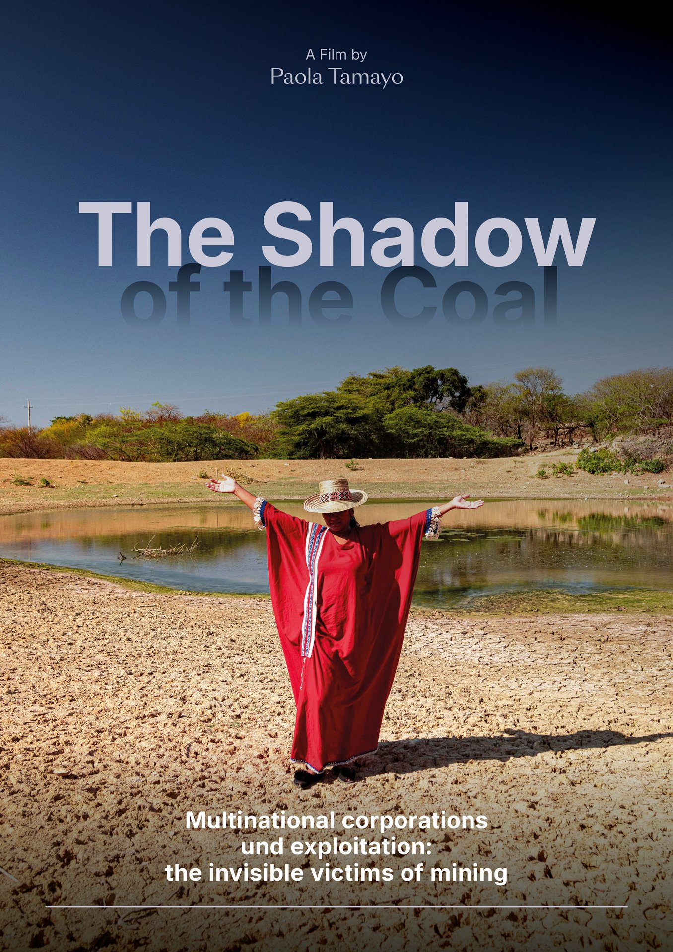 40-poster_La sombra del carbón