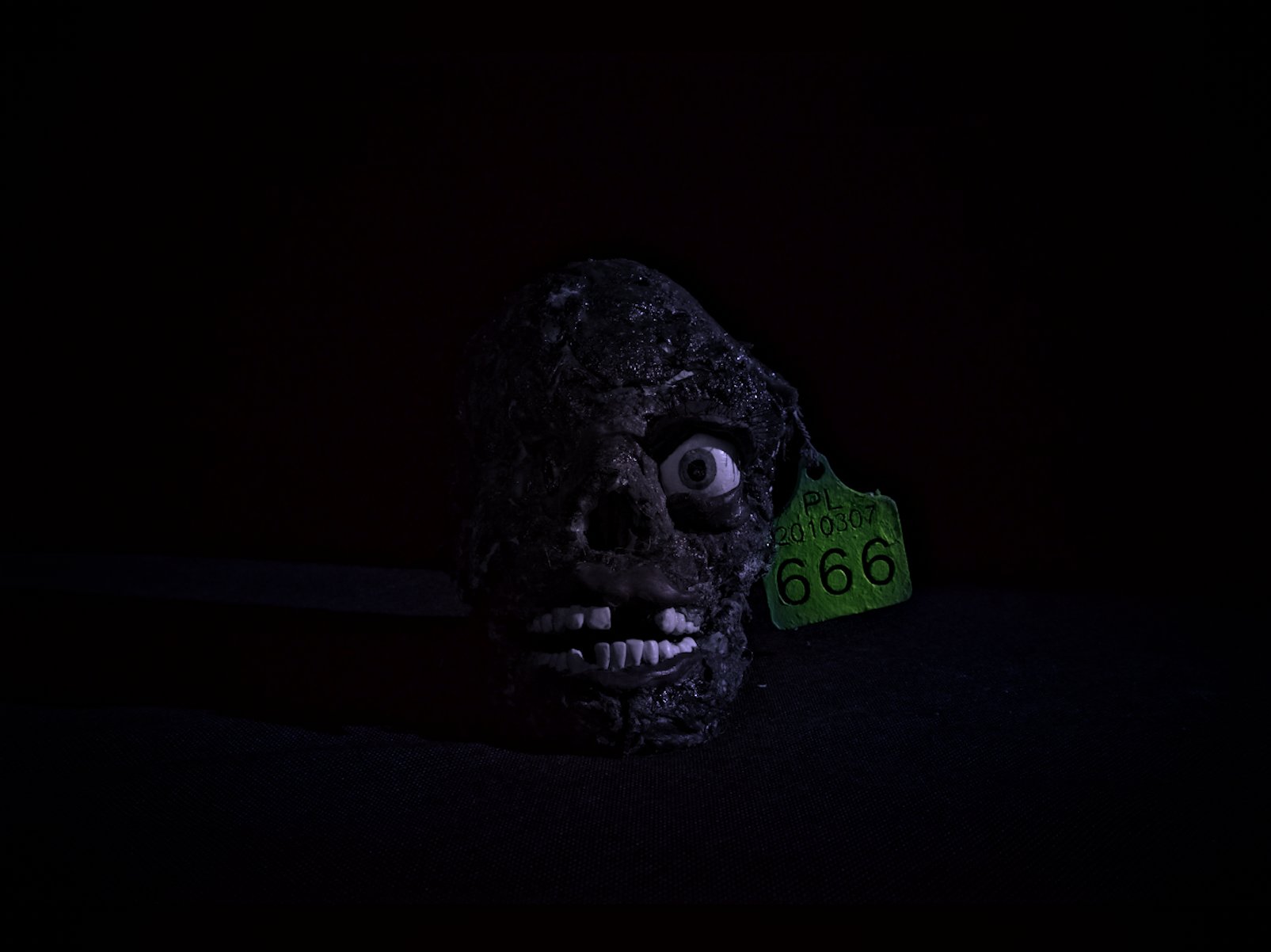 58-poster_Jadzia się Jadzi